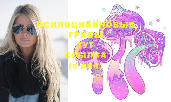 прущая мука Инта