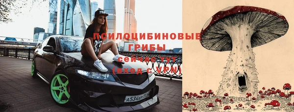 гидропоника Иннополис