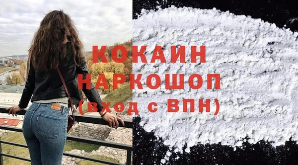 spice Инсар