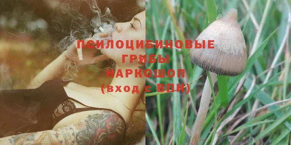 прущая мука Инта