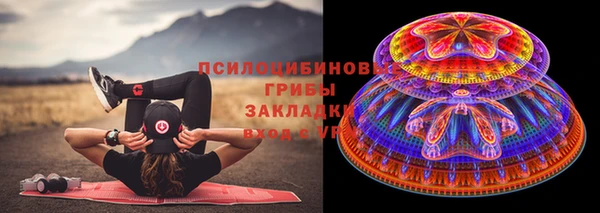гидропоника Иннополис