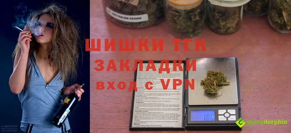 spice Инсар