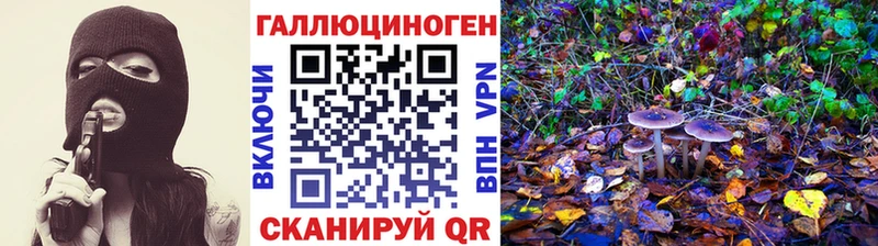 Псилоцибиновые грибы Psilocybe  Купить закладки  Буинск 